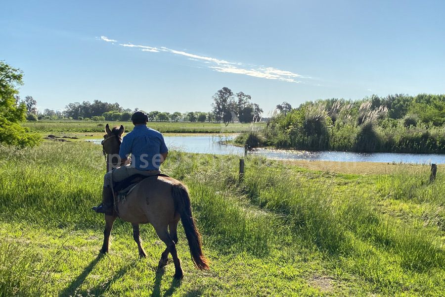 Cabalgatas en Estancia La Bandada