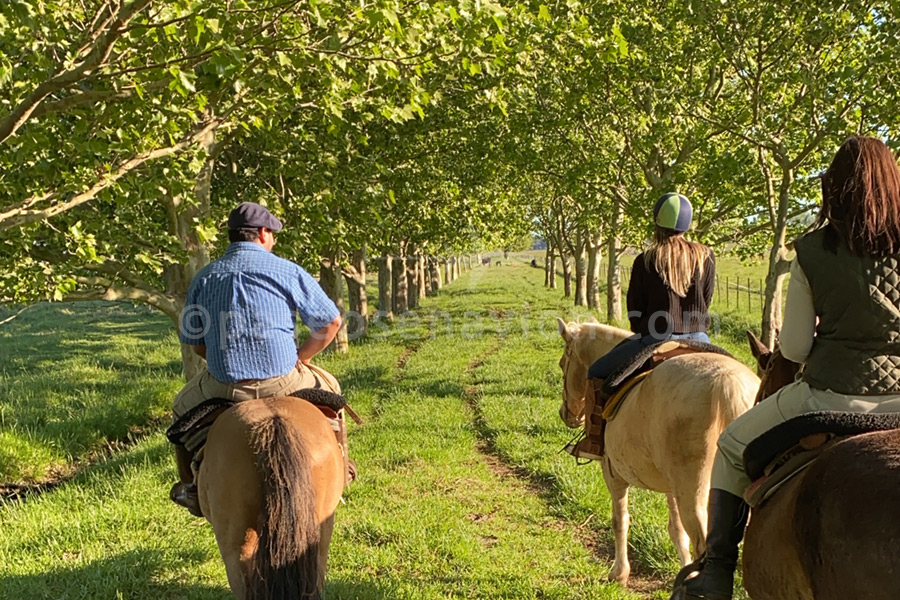 Cabalgatas en Estancia La Bandada