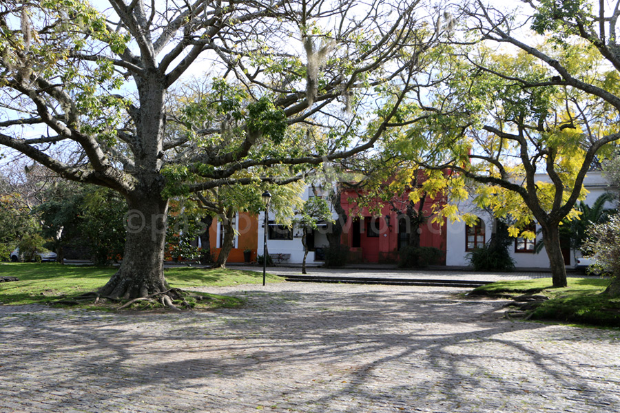 Old town of Colonia city