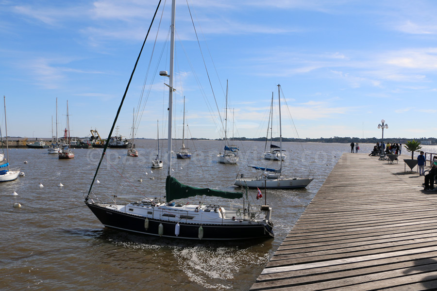 Muelle del club de yates de Colonia